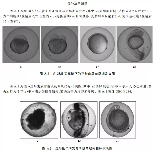 保健食品团体标准培训会