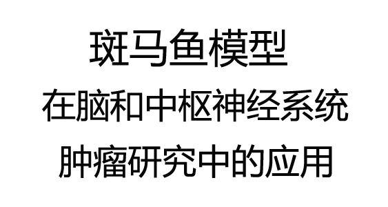 5斑马鱼模型在脑和中枢神经系统肿瘤研究中的应用