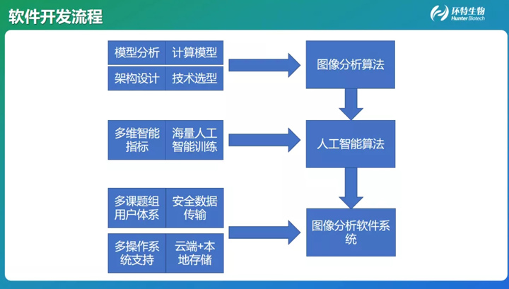 斑马鱼图像智能分析系统的开发与应用