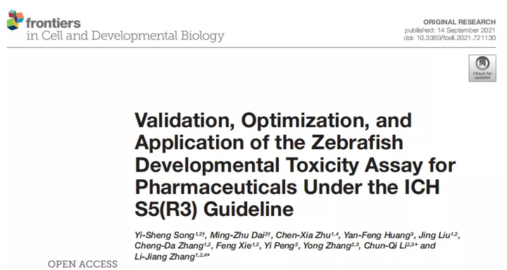 斑马鱼发育毒性试验在 ICH S5(R3) 指南下的验证、优化和应用