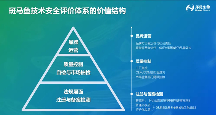 斑马鱼技术安全评价体系