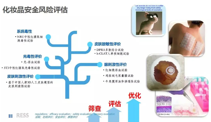 化妆品安全风险评估