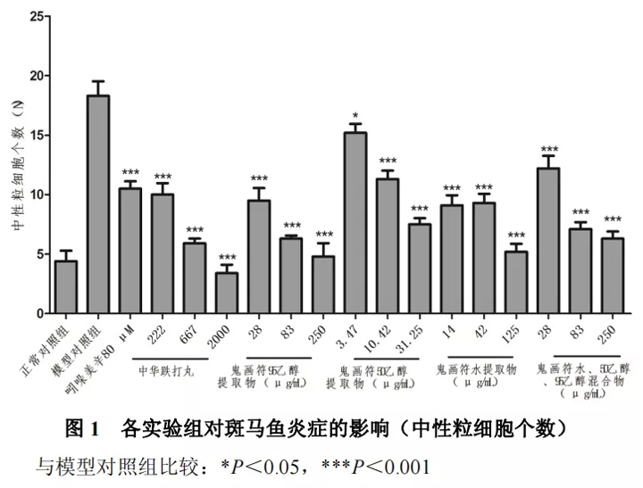 乙醇混合物在本实验浓度条件下对炎症斑马鱼有明显抗炎作用