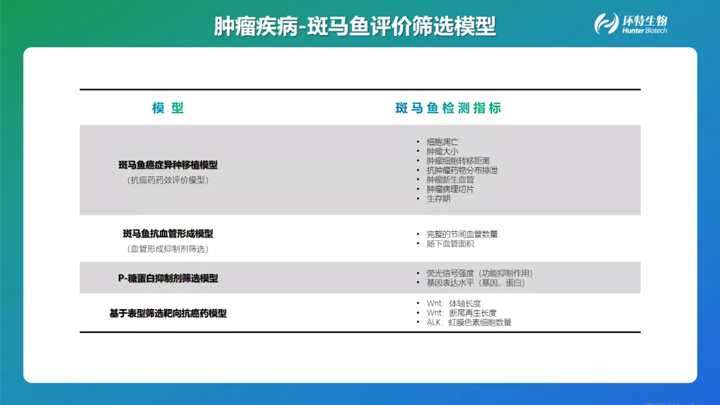 肿瘤疾病-斑马鱼评价筛选模型