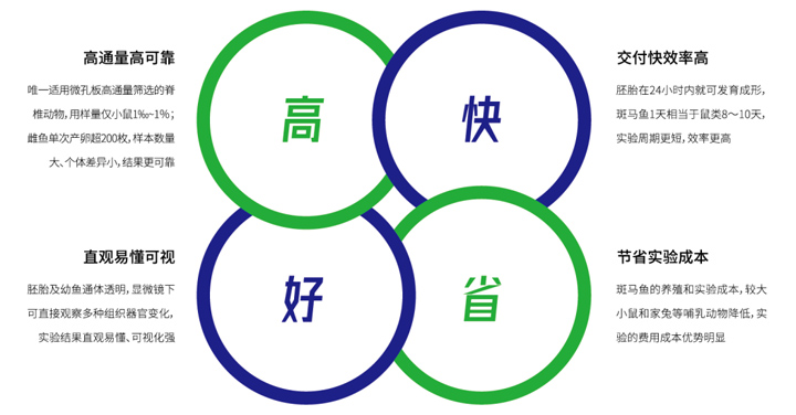 斑马鱼技术在化妆品功效评价中的应用