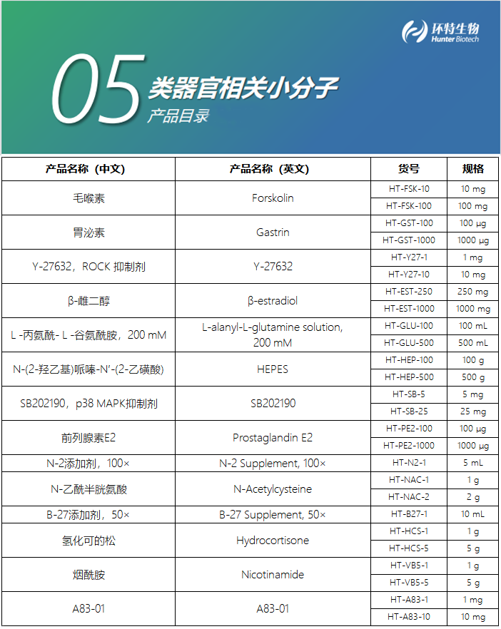 类器官相关小分子